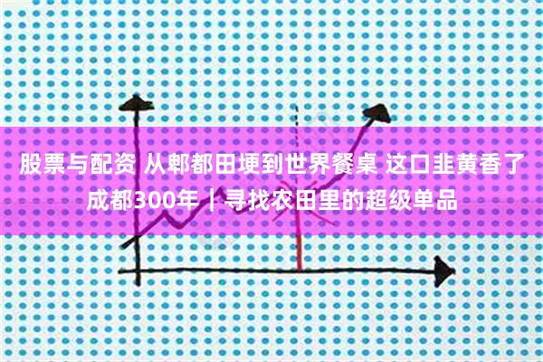 股票与配资 从郫都田埂到世界餐桌 这口韭黄香了成都300年｜寻找农田里的超级单品